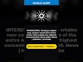 ⚡Cardano whales control 67 of ADA supply, highest since 2020 #shorts #fyp #crypto