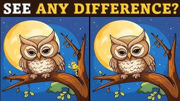 Spot The 3 Differences in 30 Seconds || Genius Can Find Differences! [EASY] 🧩🧠💡