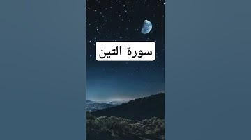 سورة التين بصوت القارئ مشاري راشد العفاسي.