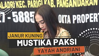 Janur Kuning Cover Yayah Andriani (LIVE SHOW Sanghiyangkalang Batukaras Pangandaran)