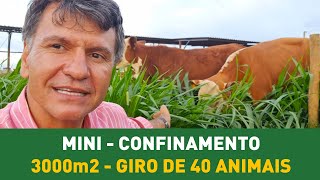 COMO ESTÁ FICANDO O MINI PROJETO 3000 M2 - MINI CONFINAMENTO.