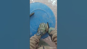 nine reloaded action reel