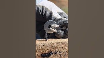 Hacks Tips Rope Washer ll Trick #tips #bolt #rope