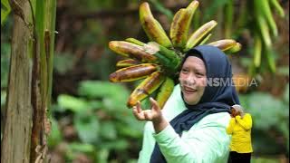 Panen Pisang Tongka Langit, Diolah Jadi Pisang Goreng Megalodon | ENAH BIKIN ENAK (31/10/25)