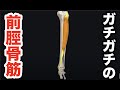 ガチガチの””前脛骨筋””を一撃でユルユルにして、二度と再発させない最高のテクニック!!【腰痛 治し方 ストレッチ】How to loosen the tibialis anterior muscle