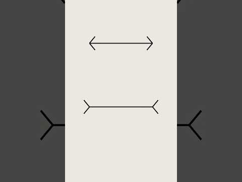 Muller-Lyer Illusion by Sillius Soddus