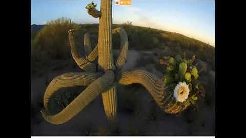 Melanie Bell - Analytical and Design Issues for Cluster Randomized Trials