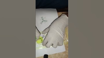 Beautiful Spirograph creative Art 002. Hypnotic Spirograph Art.#art #satisfying#relaxing#spirograph