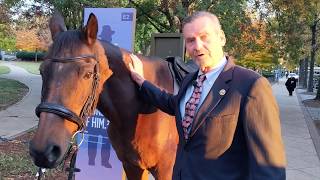 Riderless Horse with Dr. David Dyson in Birmingham