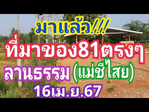 มาแล้ว!!! ที่มาของ81ตรงๆ ลานธรรม(แม่ชีไสย) งวด16เม.ย.67