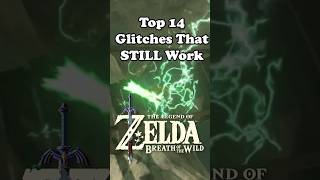 Top 14 Favorite Glitches That Still Work in 2024 for Zelda Breath of The Wild