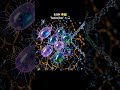 Alien biology meets deep synthesis with BLOOM and NoBanks Nearby