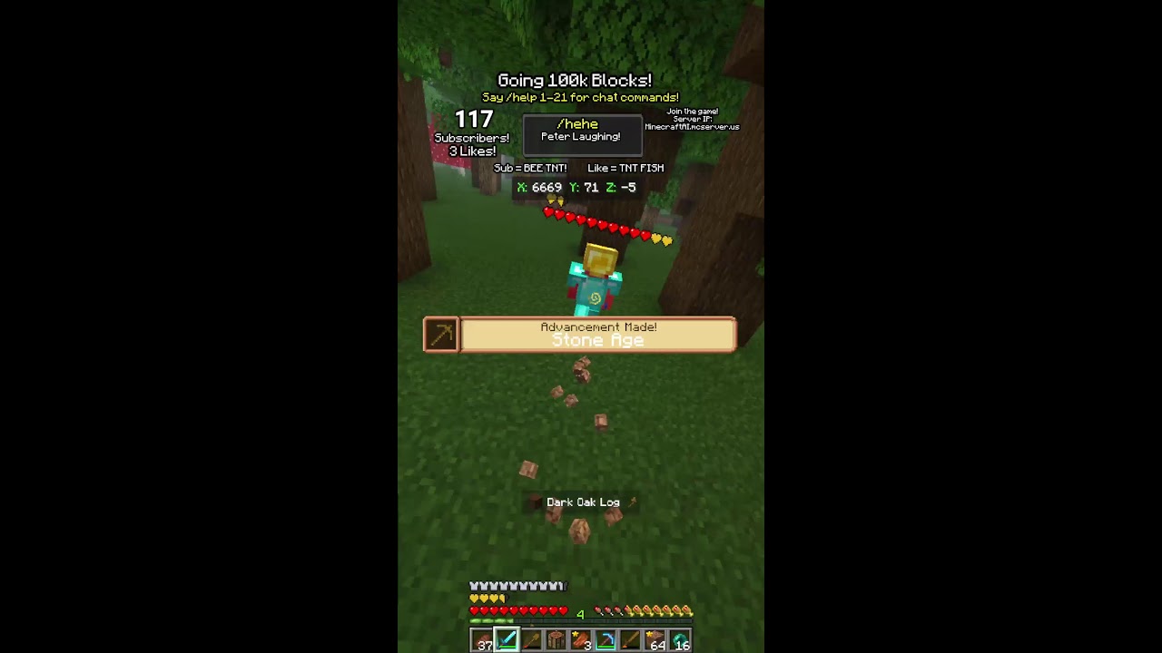 Minecraft Streamer vs Viewer! - YouTube