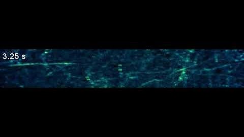 iGABASnFR2