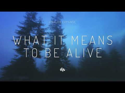Chillstep | Analog Expanse - What It Means To Be Alive
