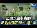 瓜農改當製毒師 揪農友種大麻 市值2億｜TVBS新聞 @TVBSNEWS02