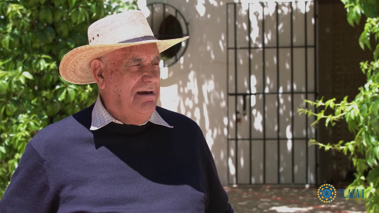 Ganadería Alcurrucén