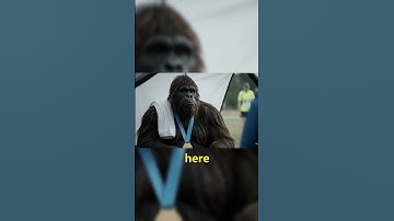 Bigfoot on the Badwater 135 🏃‍♂️