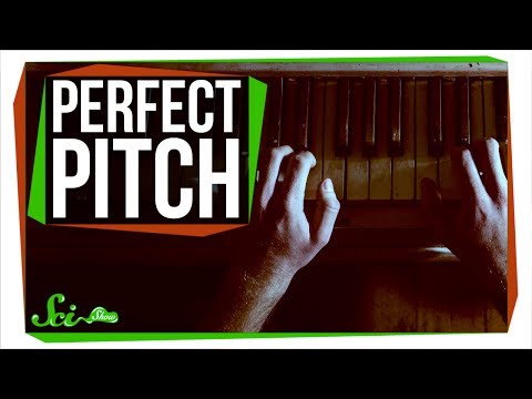 Can You Learn Perfect Pitch?