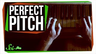 Can You Learn Perfect Pitch? screenshot 3