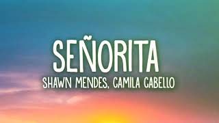 SENORITA~Shawn Mendas & Camila Camelo full song.