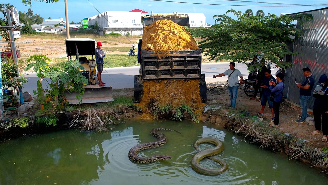 Start Opening a Perfectly Project! Landfill on Flooded Area Using Skill Dozer D20A with 5Ton Trucks