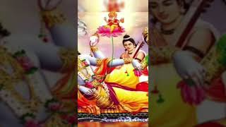 vithal #viral #pandharpur #viralvideo #dehu #alandi #warkari #vithal #mauli