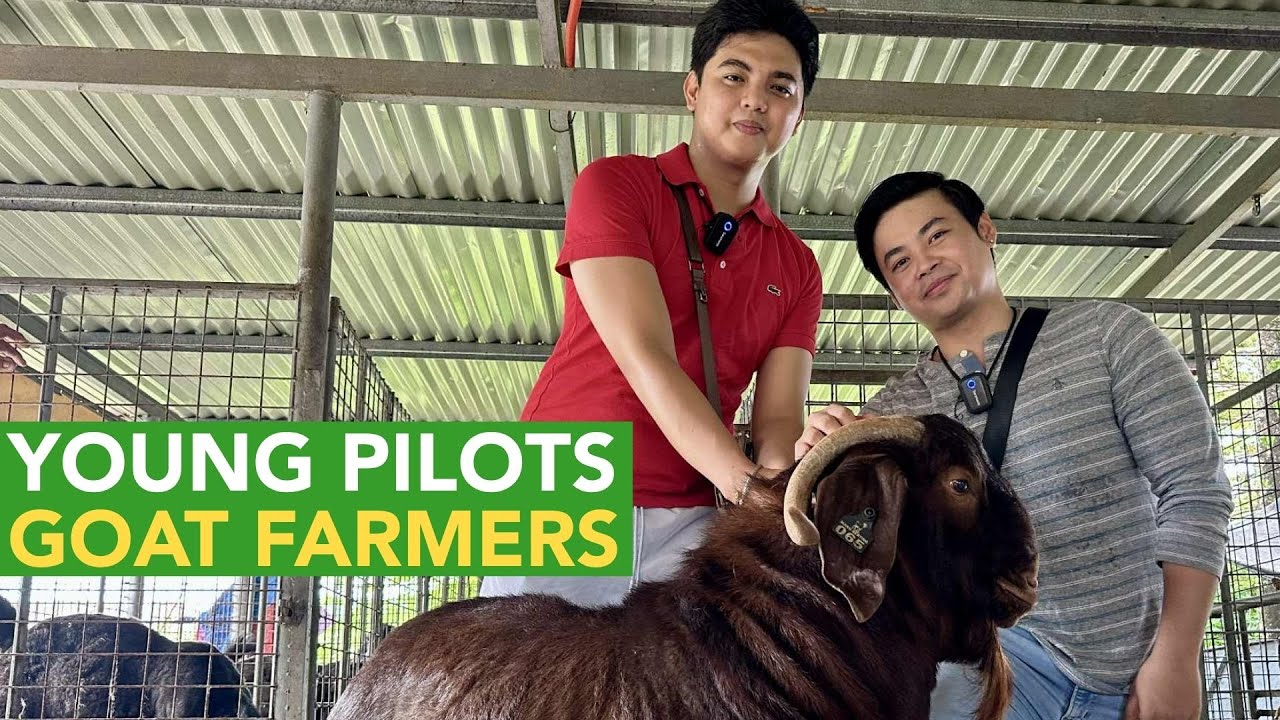 Young and Good Looking Pilots, Full Time sa Goat Farming!
