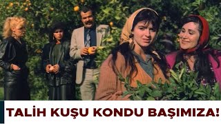 Yeter Türk Filmi Yusuf, Baharın Babasına Para Teklif Edip Kızını İster