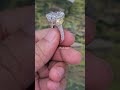 Three Stone Cushion Cut Diamond Ring with Yellow Side Diamonds &amp; Pavé Band
