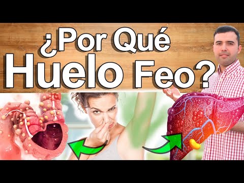 Video: ¿Por qué apesta la basura?