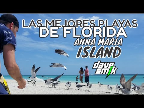 Vídeo: Las Playas Del Suroeste De Florida Son Tan Buenas Como Parece. Aquí Está La Prueba