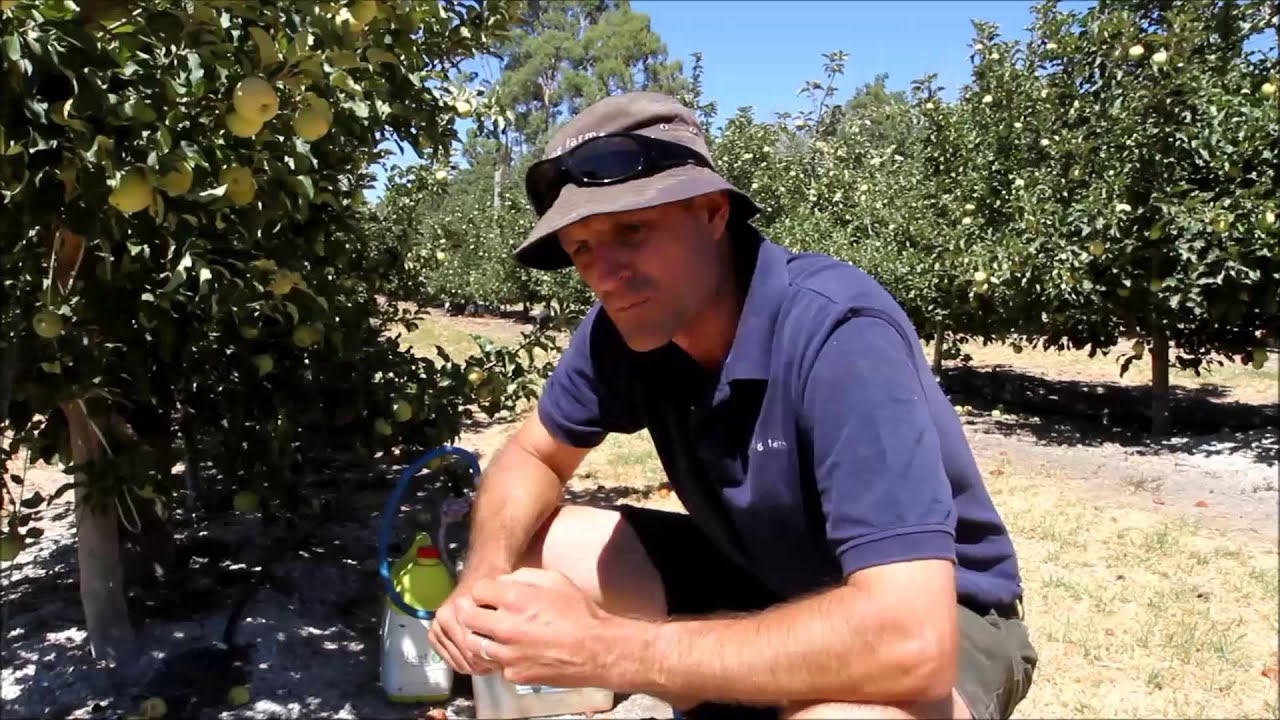 Monitoring Nitrous Oxide emissions