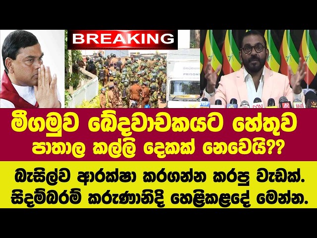🚨මීගමුව සිද්ධිය බැසිල්ව ආරක්ෂා කරගන්න කරපු වැඩක්.සිදම්බරම් කරුණානිදි හෙළිකළ දේ මෙන්න.