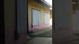 studio organ tunggal🎤🎤🎤🎧