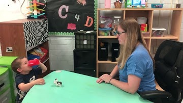 Week 9 - Motor Imitation Level 2