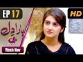Watch Haara Dil - Episode 17 | Aplus Dramas | Danish Taimoor, Hiba Bukhari | Pakistani Drama Online In HD