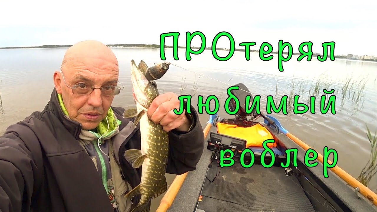 Доктор зай рыбалка воронеж