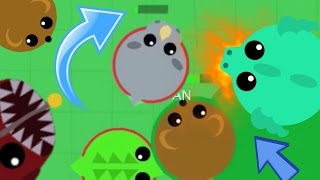 MOPEIO NO KILL CHALLENGE! RHINO TAIL BITE DEATH / TIMED HIGHSCORE 174.4K vs. ALL (Mope.io Gameplay)