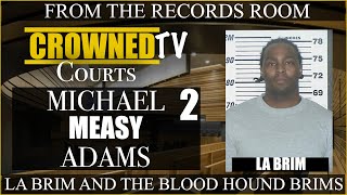 Micheal Adams testifies about La Brim's power in the Blood Hound Brims blood set