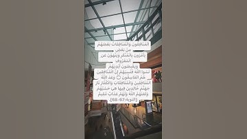سورة التوبة - سعود الشريم | المنافقون يامرون بالمنكر وينهون عن المعروف ويقبضون ايديهم عن الصدقات