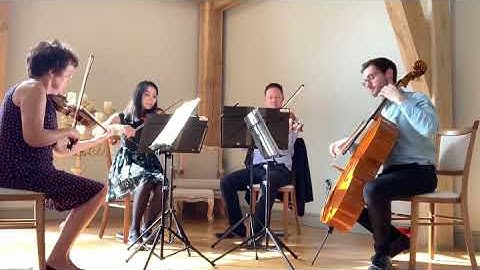 Shape Of You - Ed Sheeran - Scintillo String Quartet