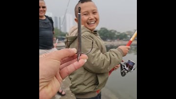 ♠️ Bắt Đc Tam Mao TV Săn Ô Tô Hồ Định Công