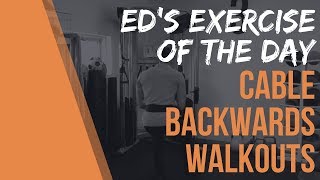 Ed's Exercise of the Day - Cable Backwards Walkouts