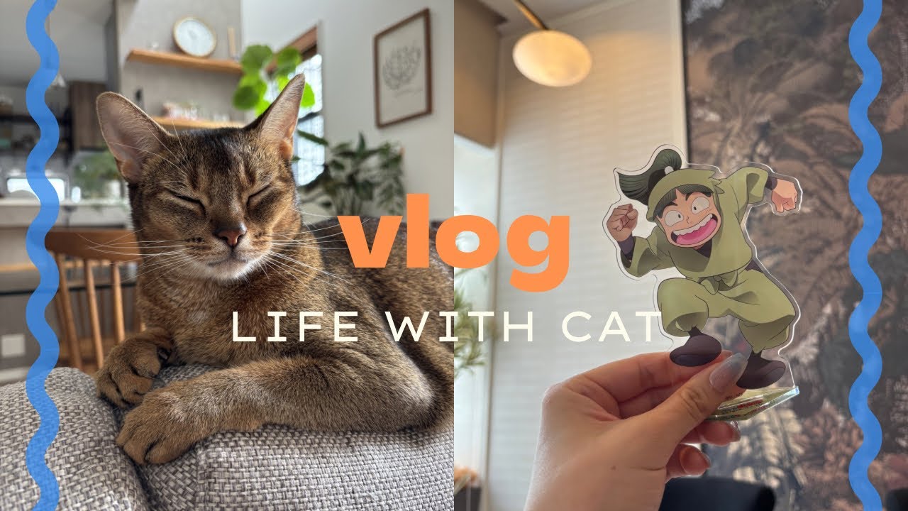 vlog┃東京でお誕生日会と推し活アフタヌーンティーを楽しんだ日｜和歌山で落乱原画展｜猫と晩酌する30代オタクの日常