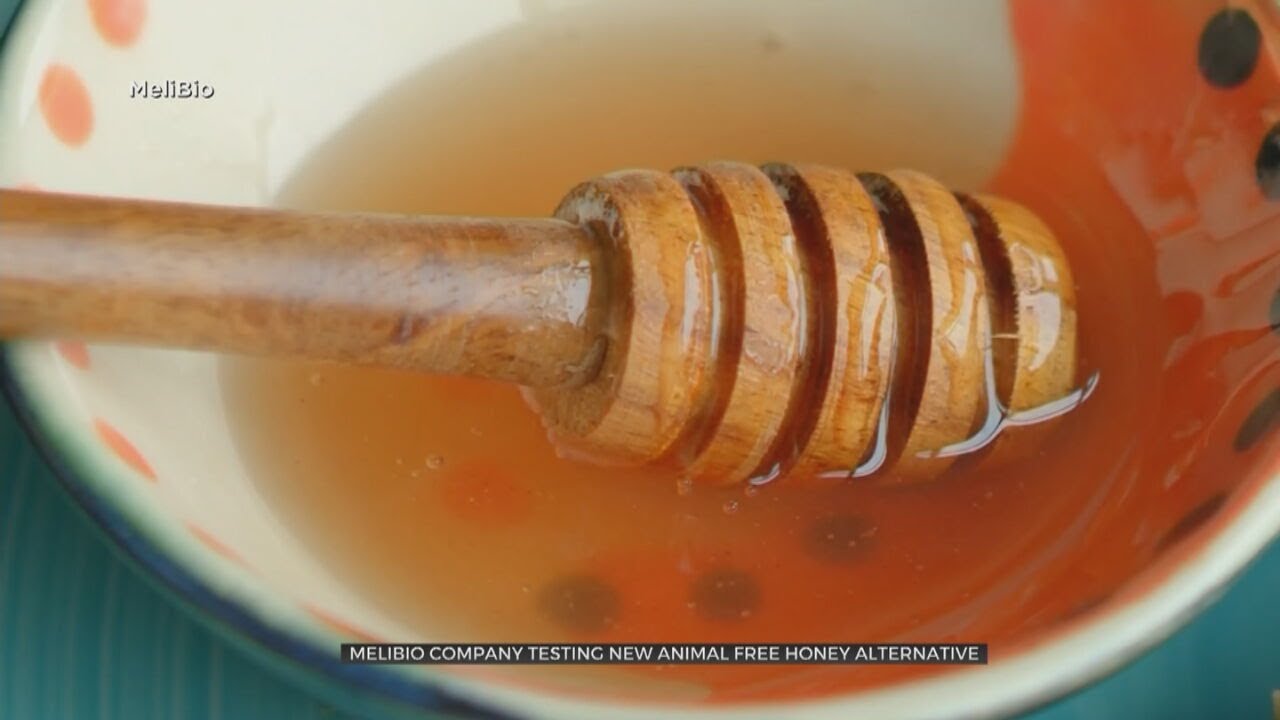 Company Develops Vegan Honey Made Without Bees