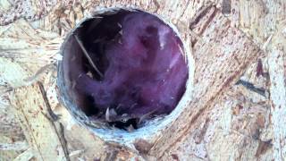 An-Early-1960s-Insulated-Wall-That-Can-Have-More-Insulation-Added.MOV