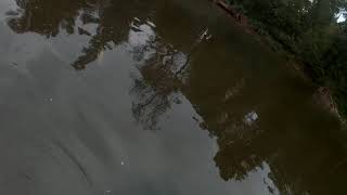 Raritan River @ DIP