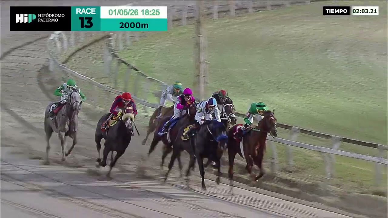 Gran Premio República Argentina (G1) 2026 - Need You Tonight (Hat Ninja)