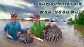 Đẩy Côn Bắt Cá Mùa Nước Nổi Miền Tây | Độc Lạ Miền Tây |